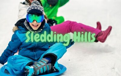 Best Sledding Hills in Minnesota – Top Spots for Winter Fun