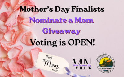 Celebrate Minnesota Moms — Cast Your Vote